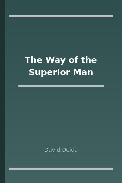 The Way of the Superior Man by David Deida
